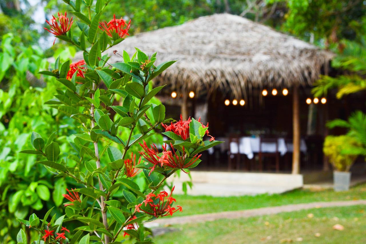 Kadolana Eco Village Balapitiya Dış mekan fotoğraf